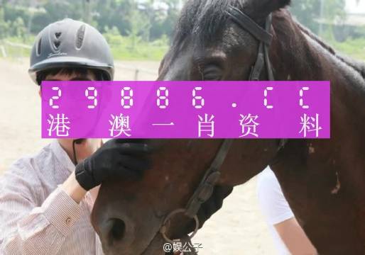 今晚澳门最准一肖一码|精选解释解析落实专业版240.333