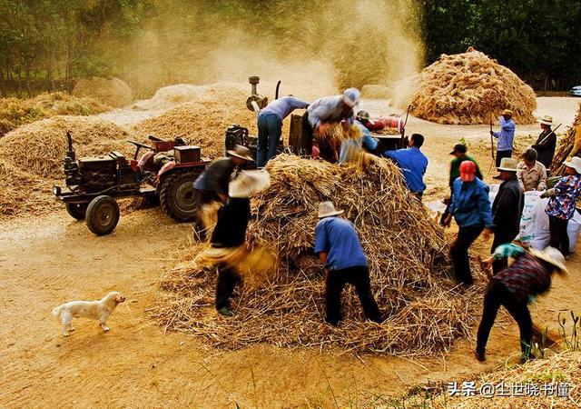 农民牛二条最新视频，展现乡村生活的真实面貌