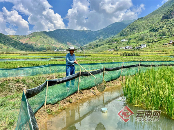 姚河坝最新进展，迈向生态与可持续的未来