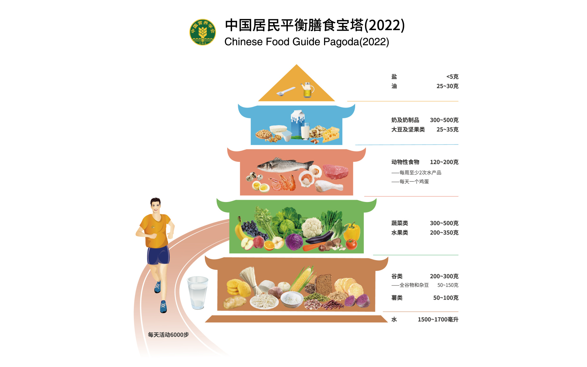 最新版居民膳食指南，构建健康饮食生活的关键