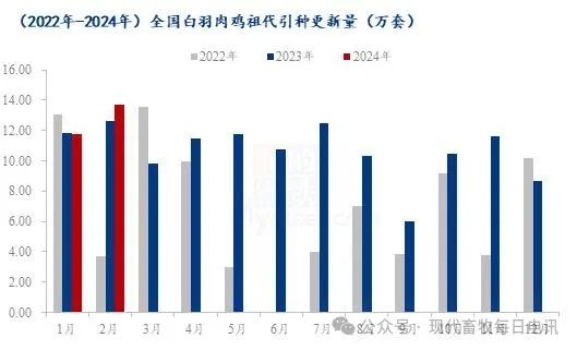 今日白羽鸡价格最新动态分析