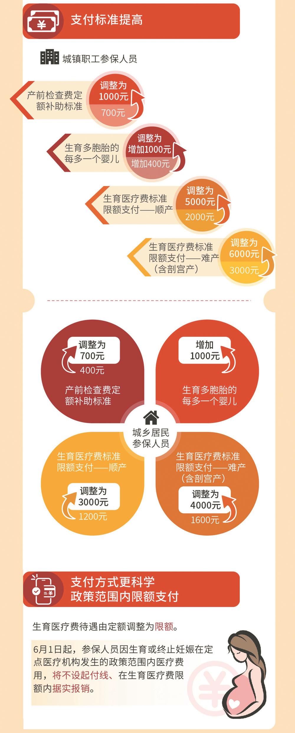 成都生育险最新政策解析