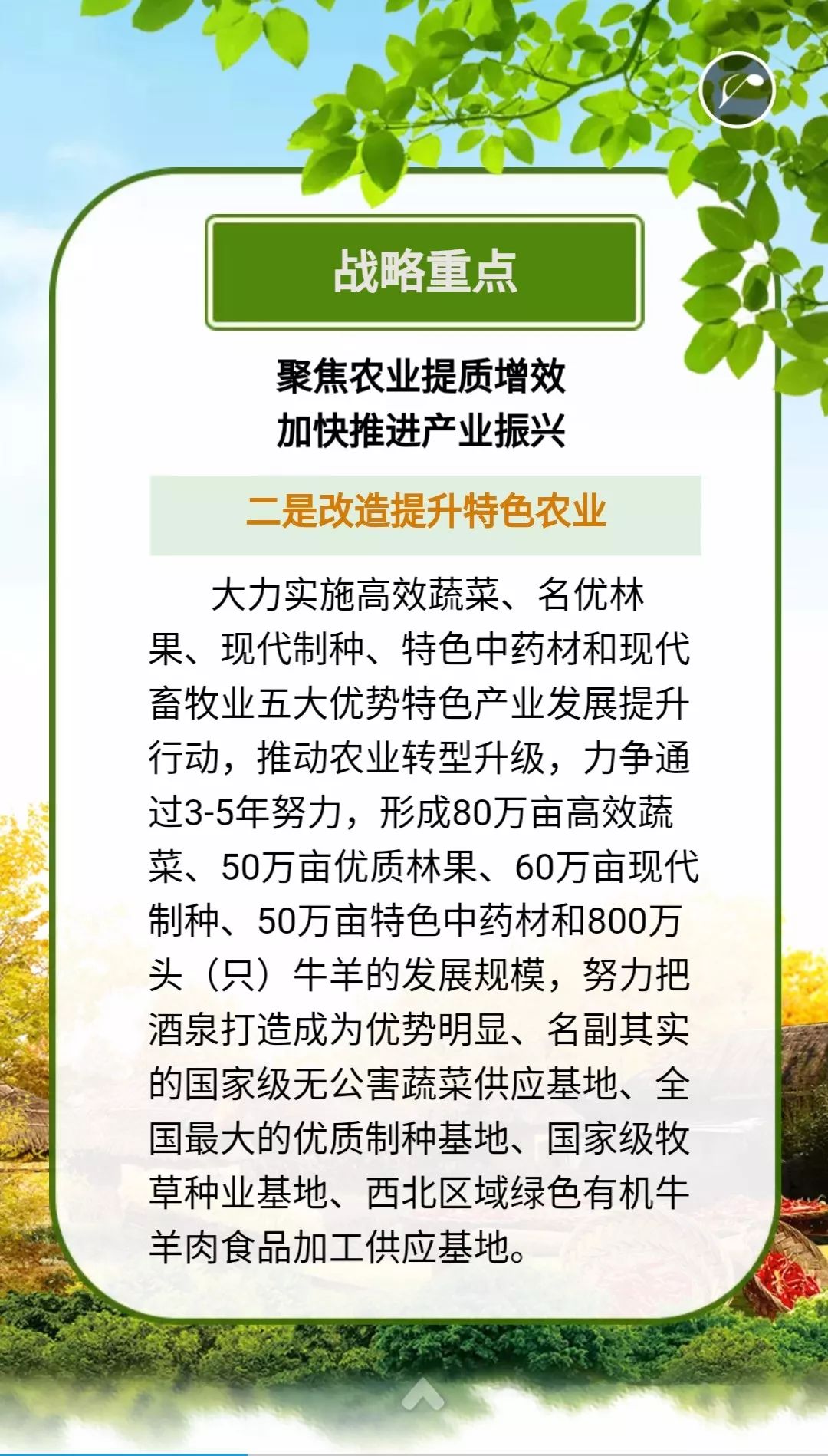 村干部的最新政策，推动农村振兴的关键力量