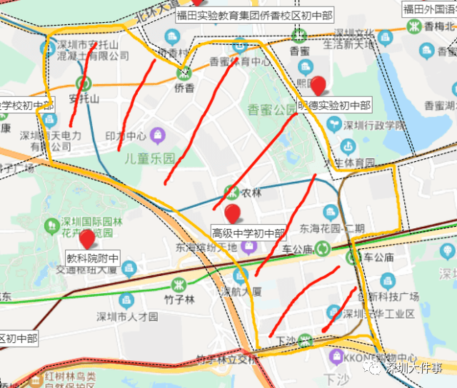 深圳深高南学位最新动态，发展、挑战与未来展望