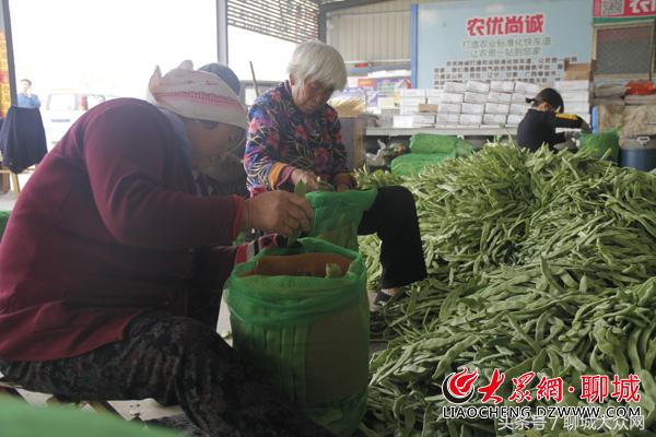 最新聊城重大项目，推动城市发展的强大引擎