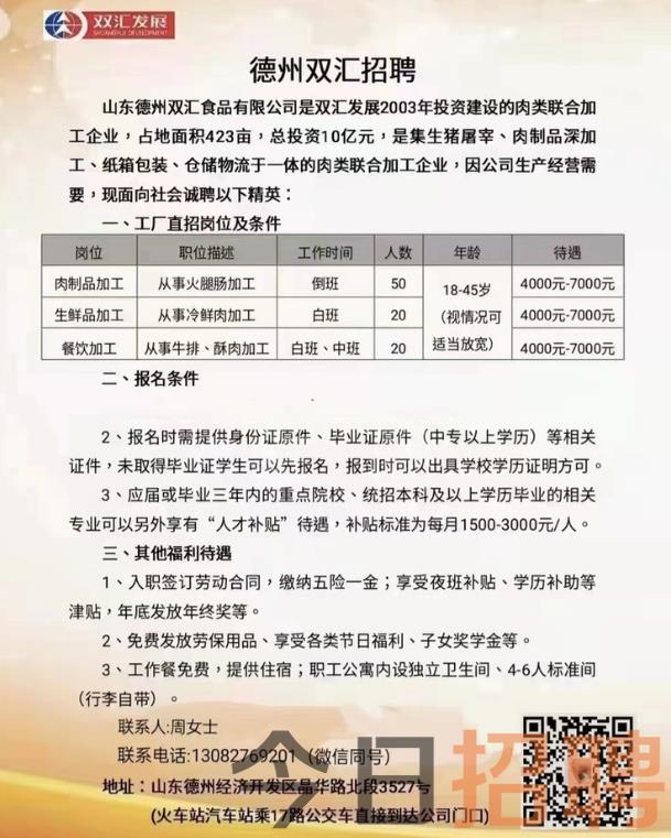 山东德州招工最新信息概览