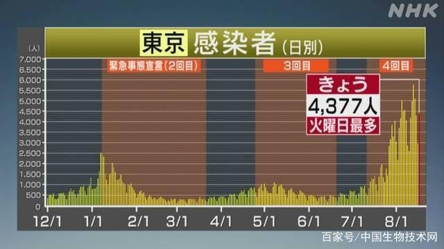 疫情实时数据最新日本，全面解析与深度探讨