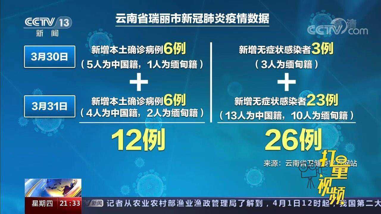 云南瘟疫情最新消息全面解析