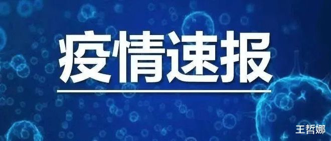 沙特昨日疫情最新消息，持续监测与积极应对