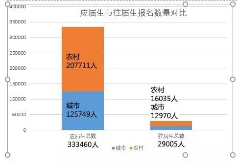 湖北技能高考最新消息，改革动向与未来展望